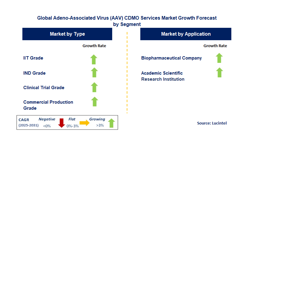Adeno-Associated Virus (AAD) CDMO Services Market by Segment